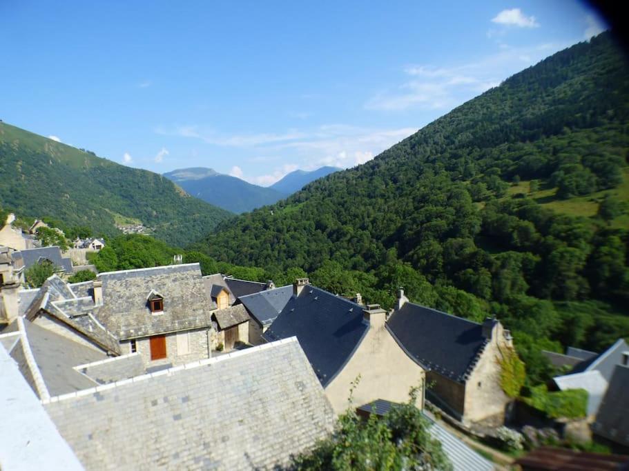 Maison Familiale Pour 8 Saint-Aventin Zewnętrze zdjęcie