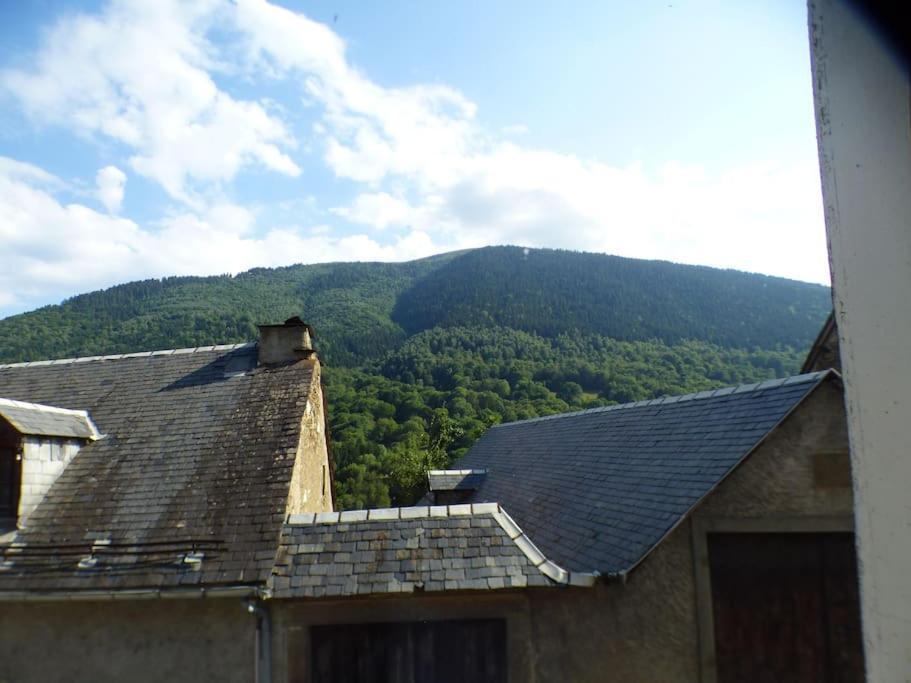 Maison Familiale Pour 8 Saint-Aventin Zewnętrze zdjęcie